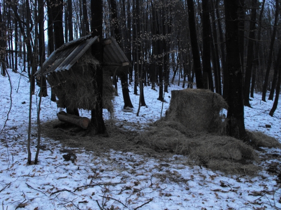 Dopĺňanie senníka