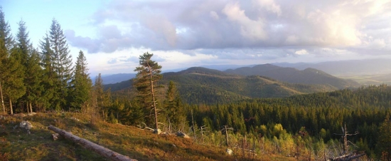 Branisko