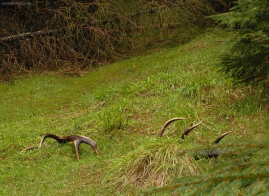 Na rannej pochôdzke
