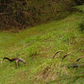 Na rannej pochôdzke