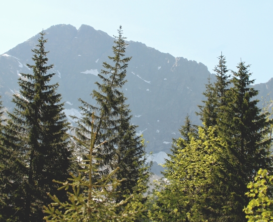 Ostrý Roháč