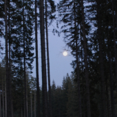 Idylka z posedu na ruji