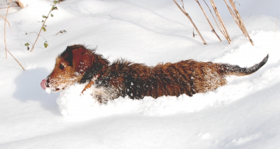 Vidina úspešnej dohľadávky