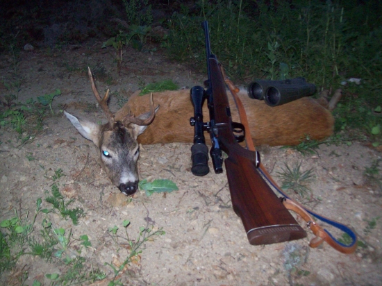 Rarita made in Austria