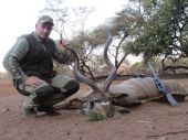 Limpopo Kudu