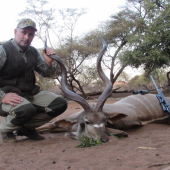 Limpopo Kudu