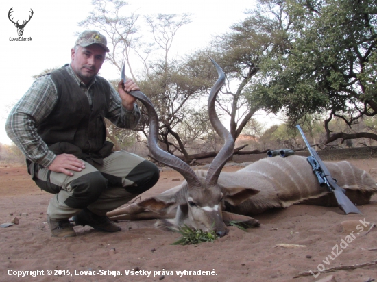 Limpopo Kudu