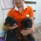 Starostlivosť o štenatá