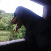 Sledovanie namiesto mňa