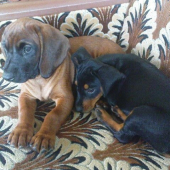 Nerozlučna dvojica Far. Aja a Kop. Ina