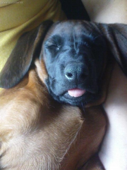 Spanok v každej polohe