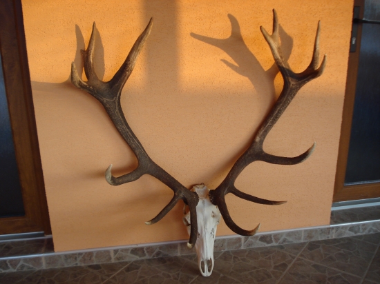 Strieborný 14-torák.