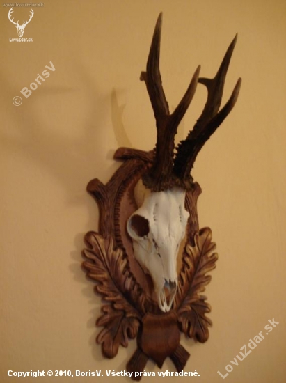 šesták