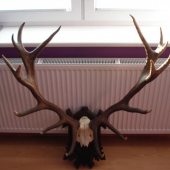 Pravidelný 16-torák.