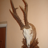 Strieborný.