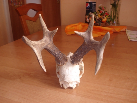 Iný pohlad