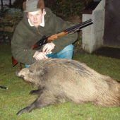 dohledane a dostřelené prase