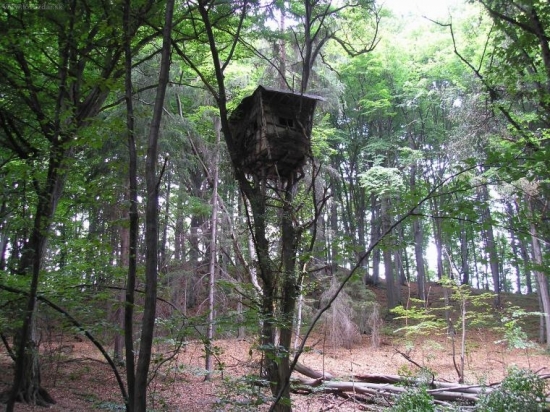 posed na stracej nôžke