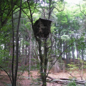 posed na stracej nôžke