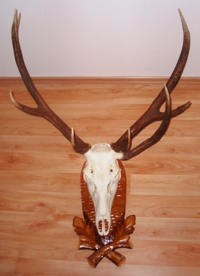 raritny 3