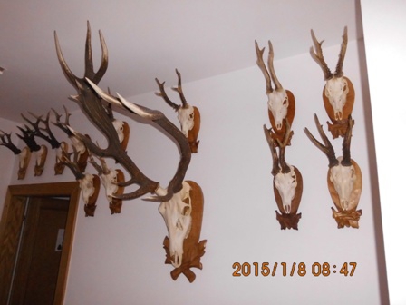 prava strana tej istej chodby