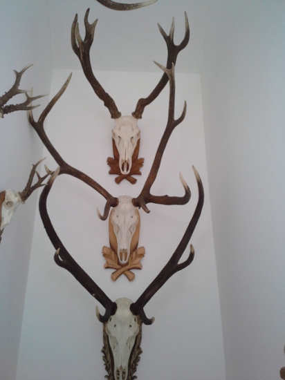 raritky 180 + bodovy 6 - tak