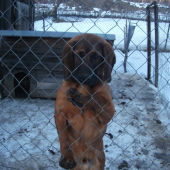 spomienka na kamarata