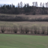 okolie starej levoče