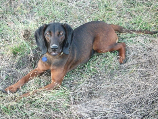 Všade pchá ten nos :D