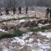 Spoločná poľovačka PZ Levoča