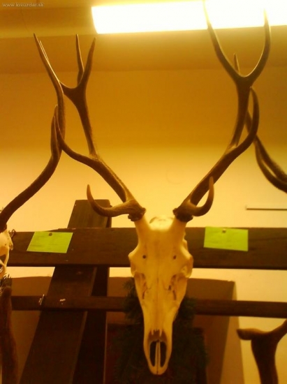 tento je mojej rodiny