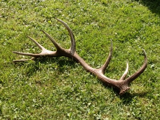 čergovský 16-torák