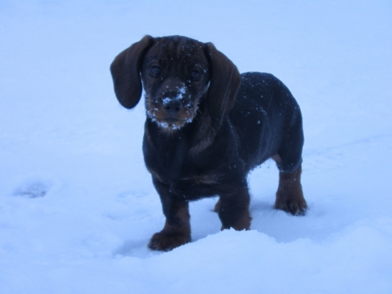 prvý kontakt so snehom