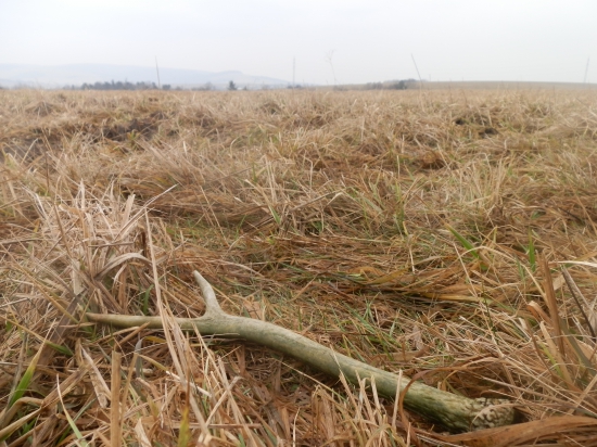 štartovný,aj taký poteší