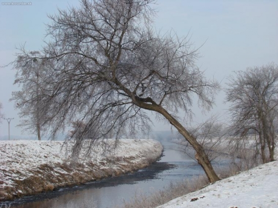 řeka Svratka
