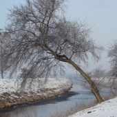 řeka Svratka