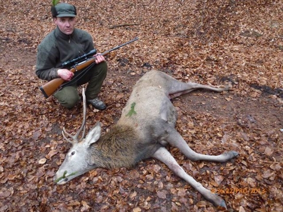 Předčasný vánoční dárek