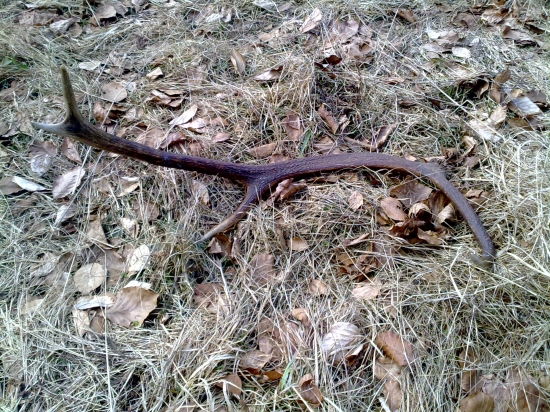 26.3  a tak sa tam povaloval