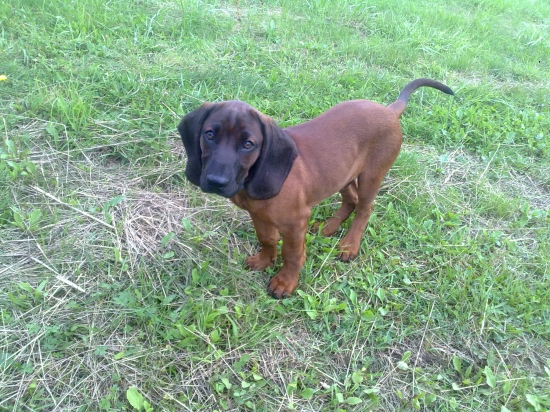 Už mam 3 mesiace...:)