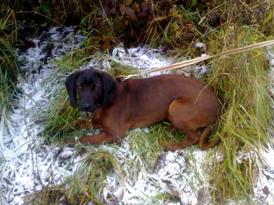 Erik z pucikovho dvora 6 mesiacov 2 týždne