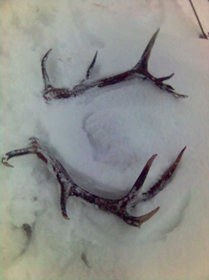 asi 3roky stara fotka :)