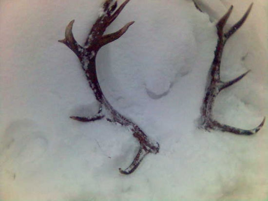 3roky stara fotka :)