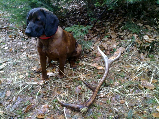 Trochu sme zmokli ale aspoň sa nám zadarilo.....:)