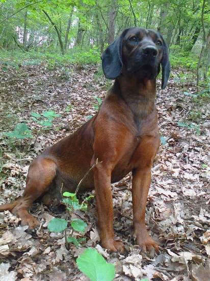 Erik z púčikovho dvora  / 13.mesiacov