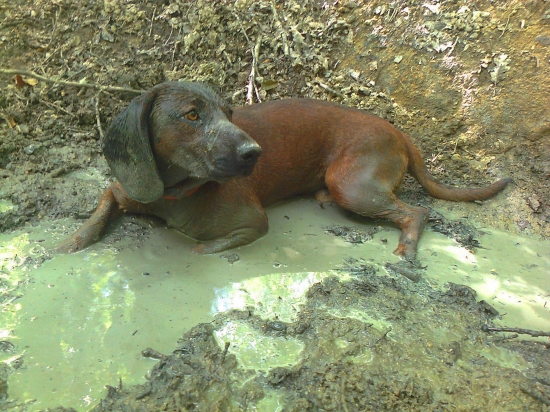 Ochladenie v horúčavách