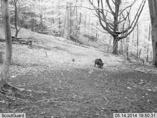 Keď sa mi na spln nechcelo isť...