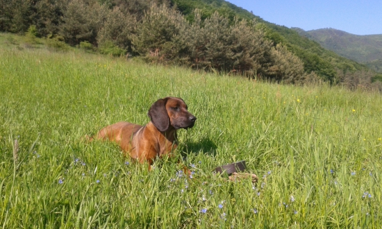 Fanny má dnes 1 rok