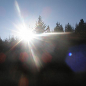 ... a bolo svetlo ...