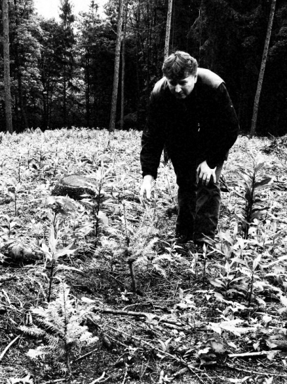 Zasvětil život lesnictví