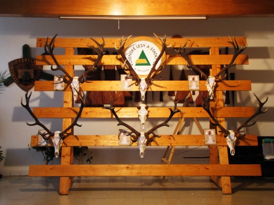 Přehlídka trofejí za r. 2010 (Libavá)